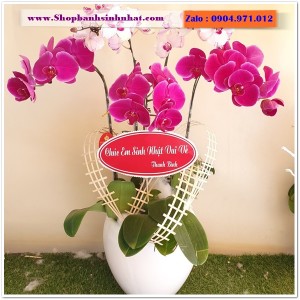 Hoa Tươi Tặng Khai Trương - OK87